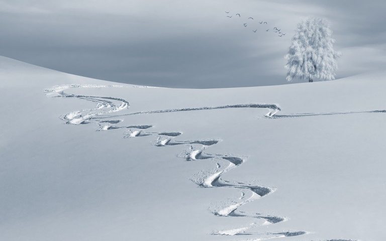 Dolomiti Superski in Agordino